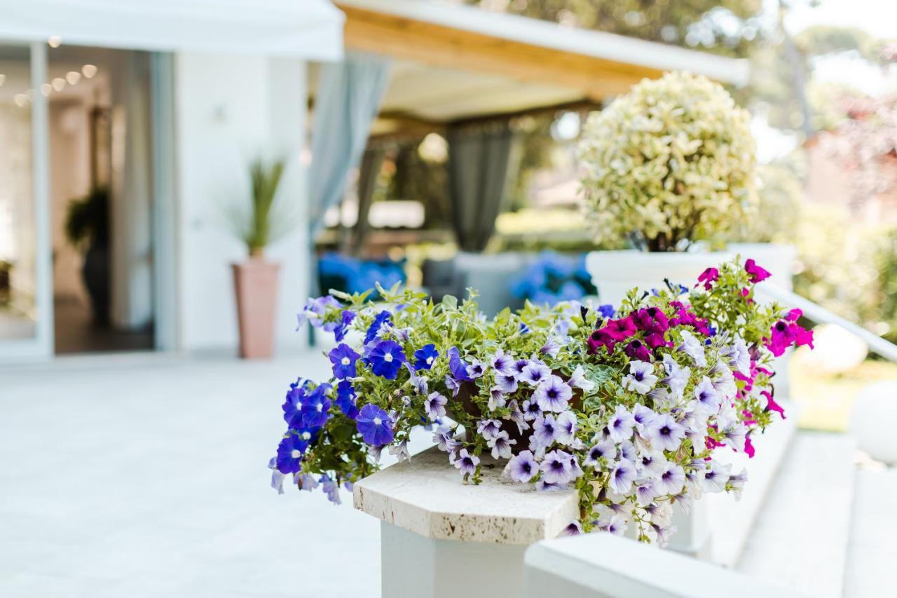 Park Hotel Giusy Λίντο ντι Καμαϊόρε Εξωτερικό φωτογραφία