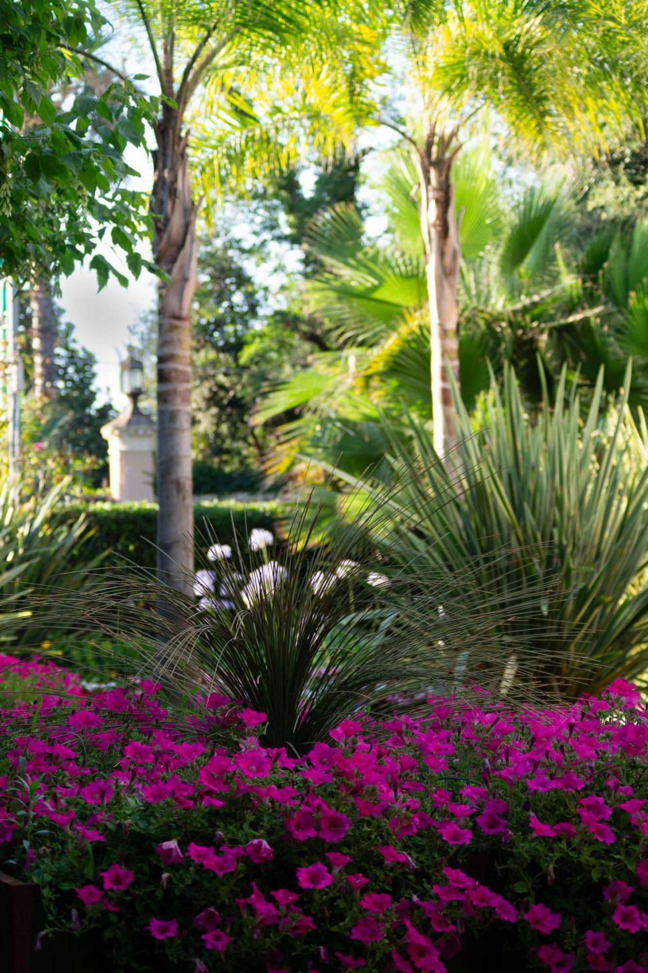 Park Hotel Giusy Λίντο ντι Καμαϊόρε Εξωτερικό φωτογραφία